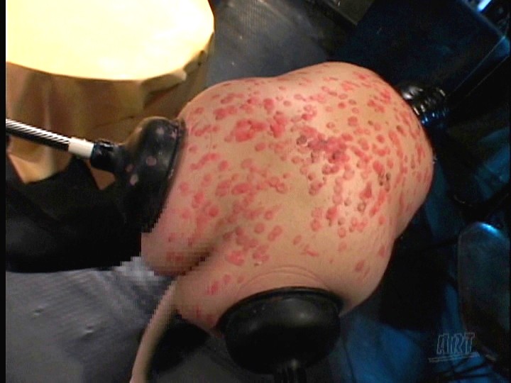 サンプル画像 11