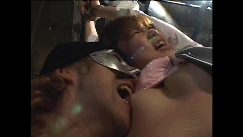 サンプル画像 10