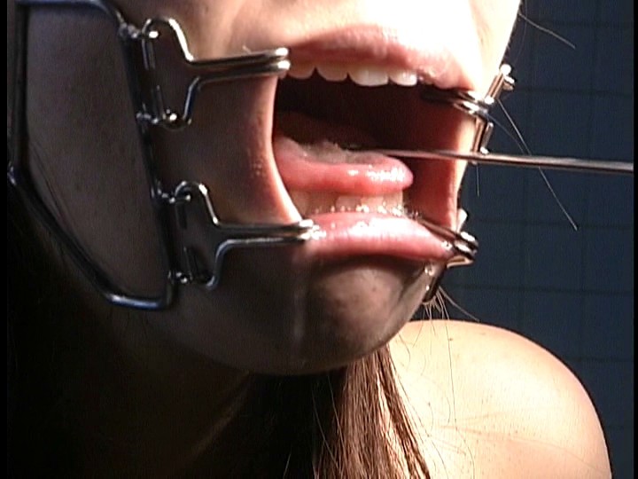 サンプル画像 20