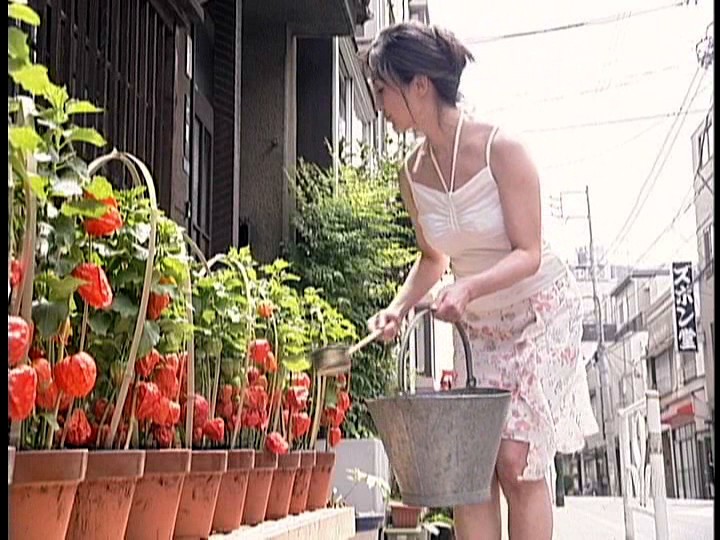 サンプル画像 2