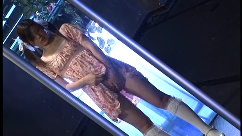 サンプル画像 8