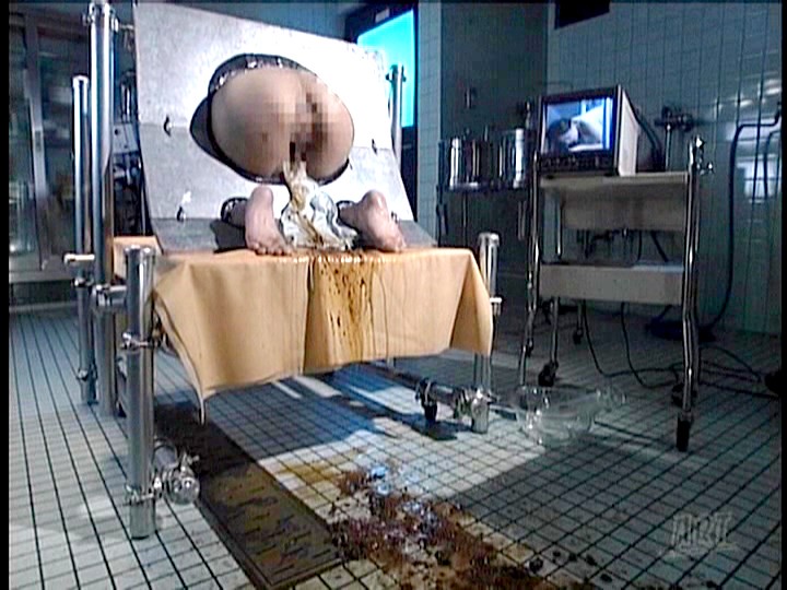 サンプル画像 11