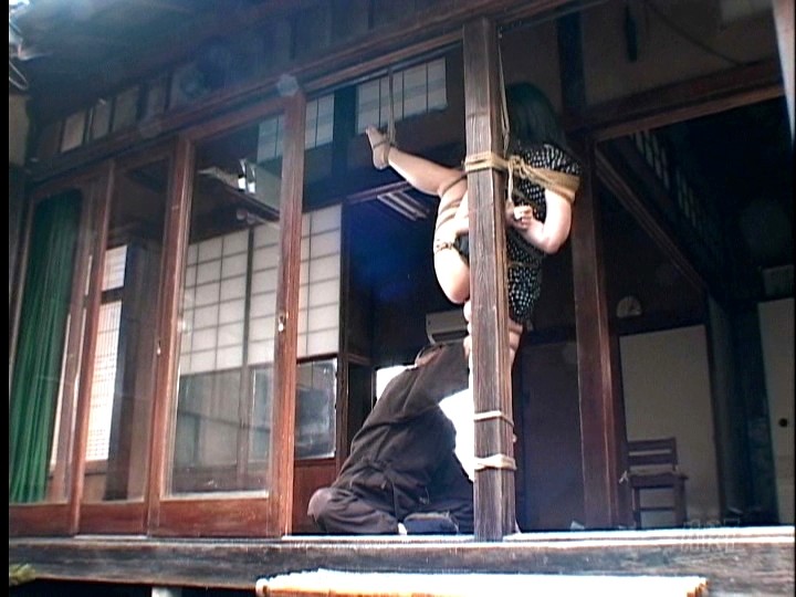 サンプル画像 7