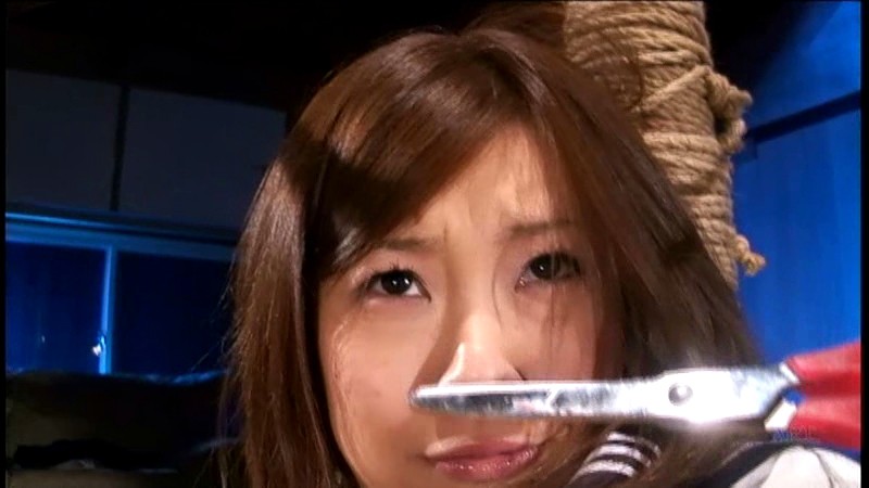 サンプル画像 8