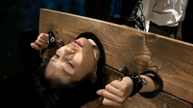 サンプル画像 9