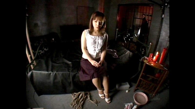 サンプル画像 2