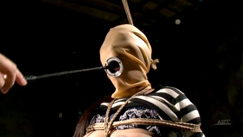 サンプル画像 5