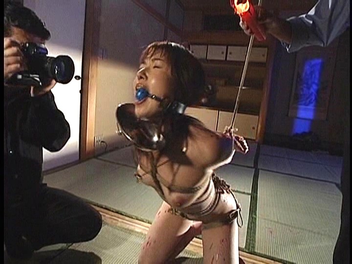 サンプル画像 6