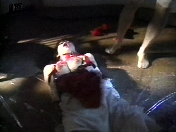 サンプル画像 17