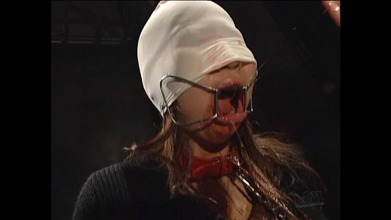 サンプル画像 3