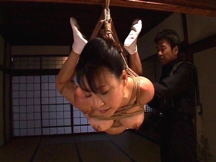 サンプル画像 13