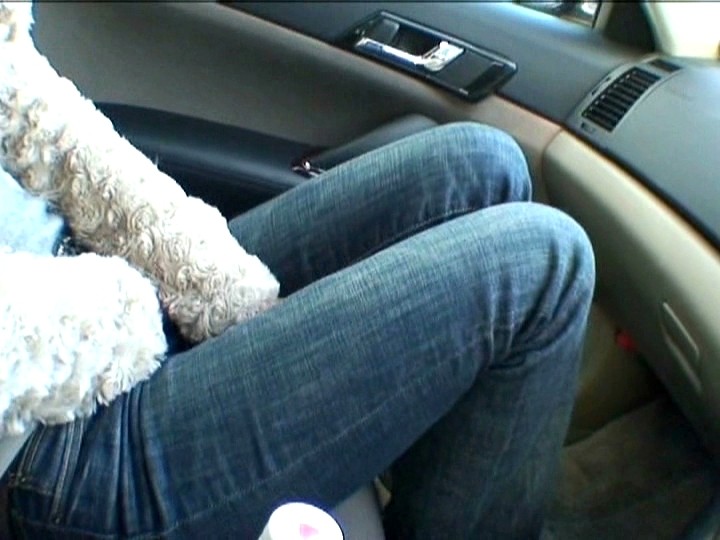 サンプル画像 19