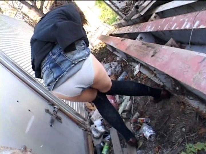 サンプル画像 16