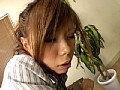 サンプル画像 24