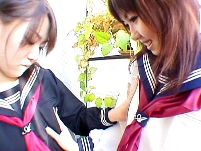 サンプル画像 5