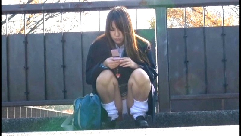 サンプル画像 3