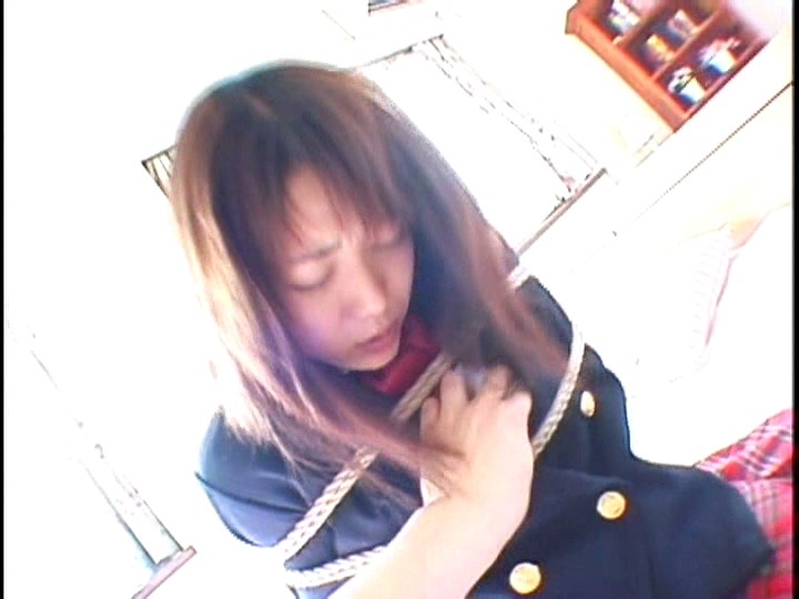 サンプル画像 4