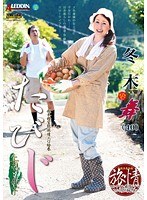 パッケージ画像