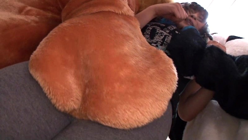 サンプル画像 12