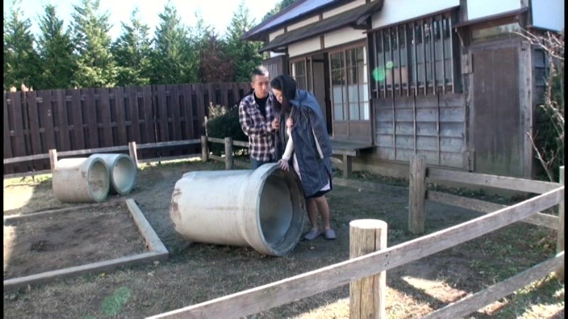 サンプル画像 12