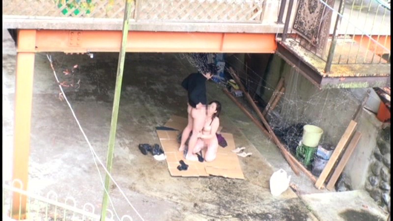 サンプル画像 18