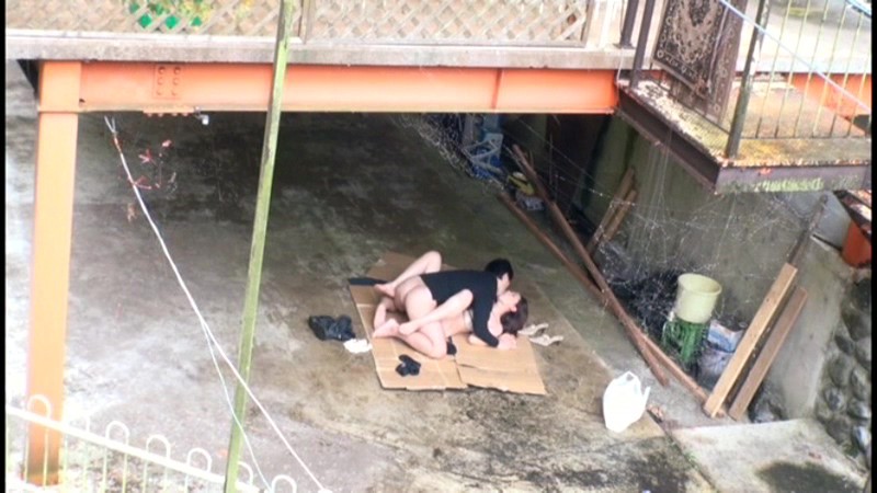 サンプル画像 19