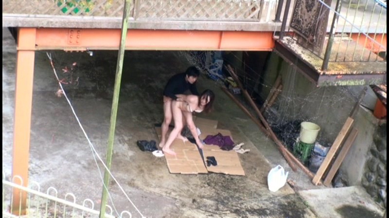 サンプル画像 20