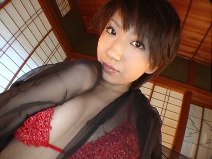 サンプル画像 13