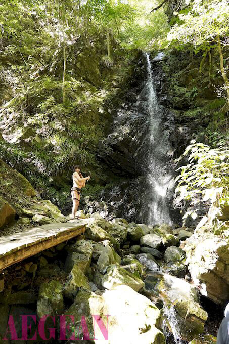 サンプル画像 6