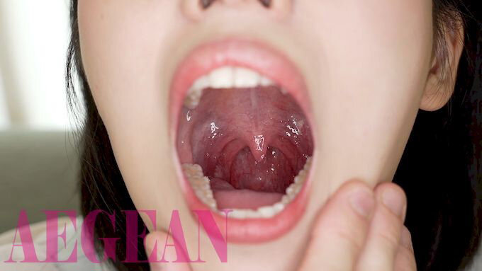 サンプル画像 6