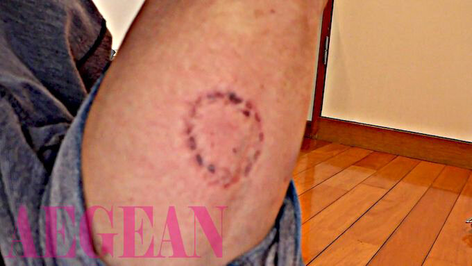 サンプル画像 7