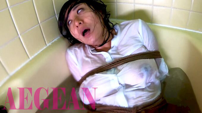 サンプル画像 3