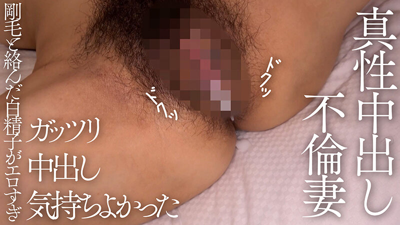 サンプル画像 12