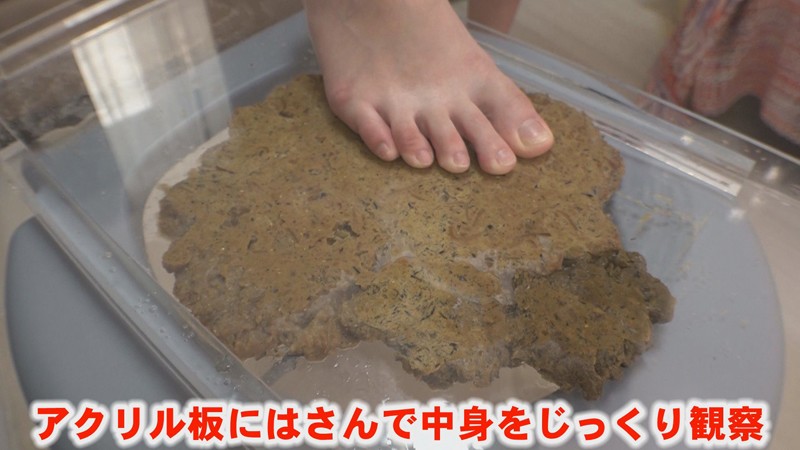 サンプル画像 12