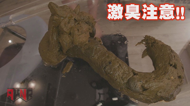 サンプル画像 11