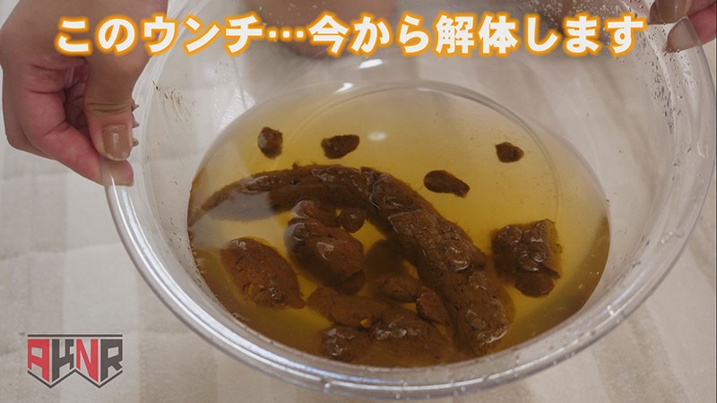 サンプル画像 5