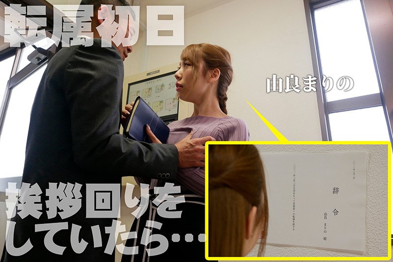 サンプル画像 12