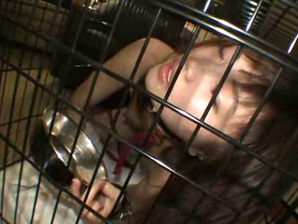 サンプル画像 5