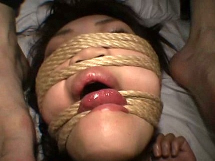 サンプル画像 6