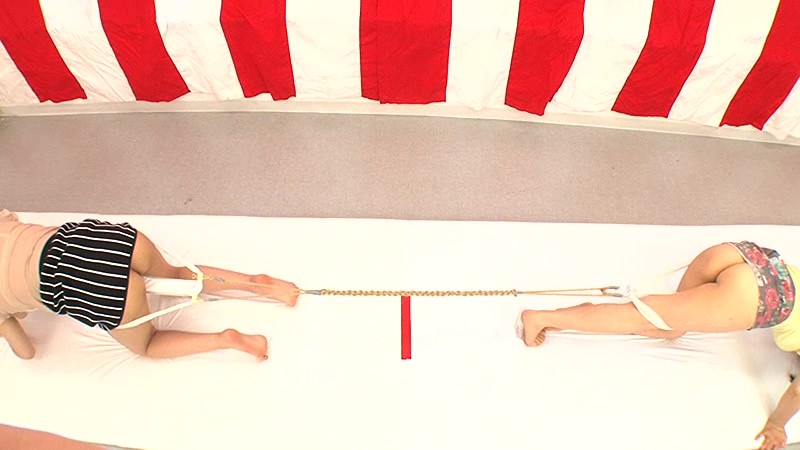 サンプル画像 11