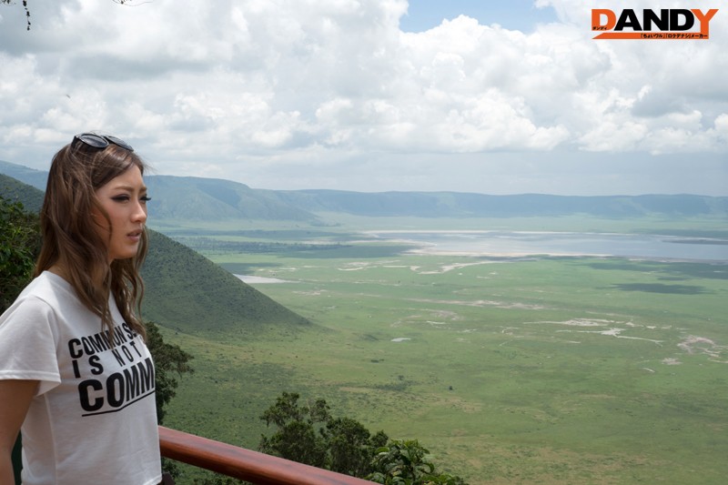 サンプル画像 11