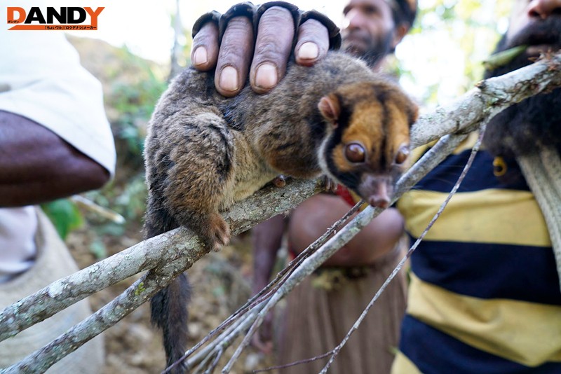 サンプル画像 5