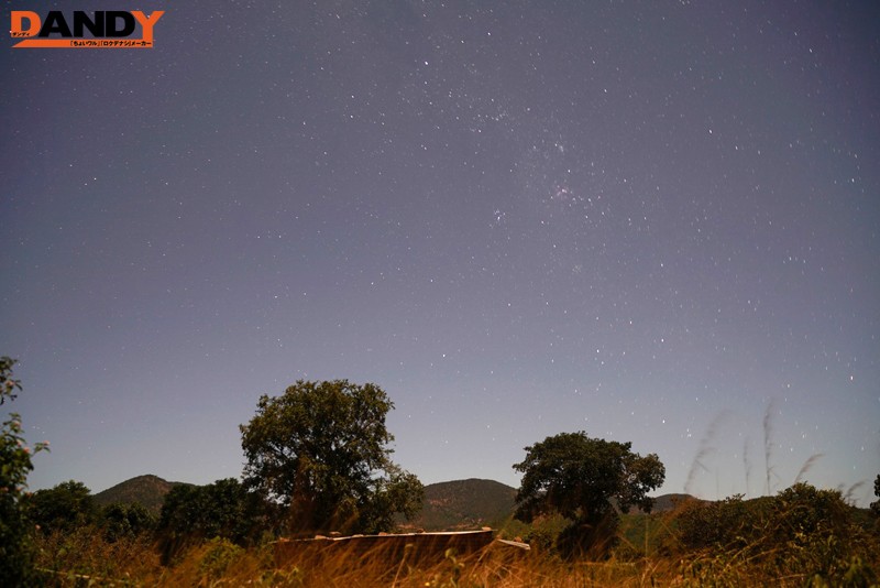 サンプル画像 5