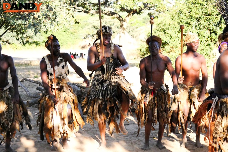 サンプル画像 8