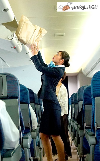 サンプル画像 12