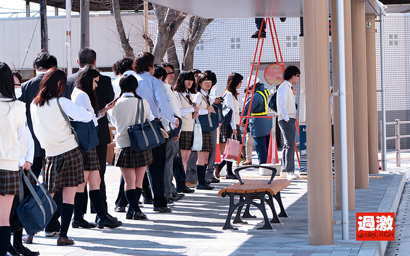 サンプル画像 3