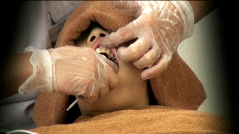 サンプル画像 14