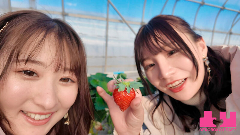 サンプル画像 11