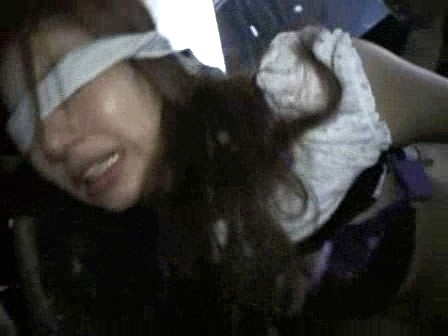 サンプル画像 13