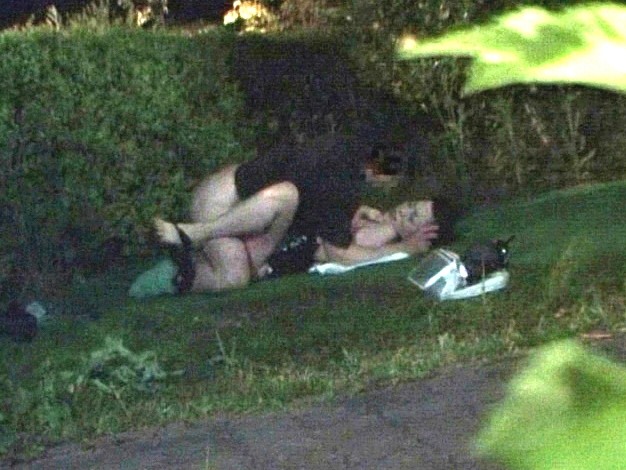 サンプル画像 14